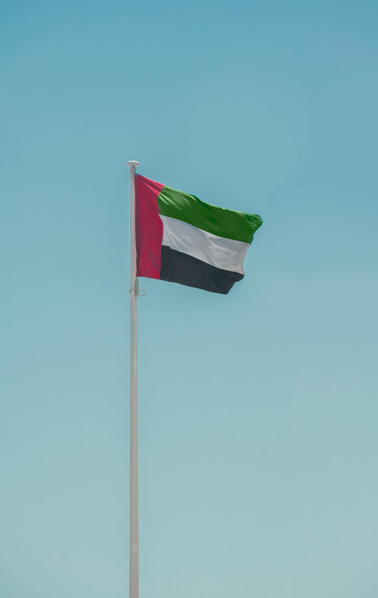 pexels-aboodi-16138408