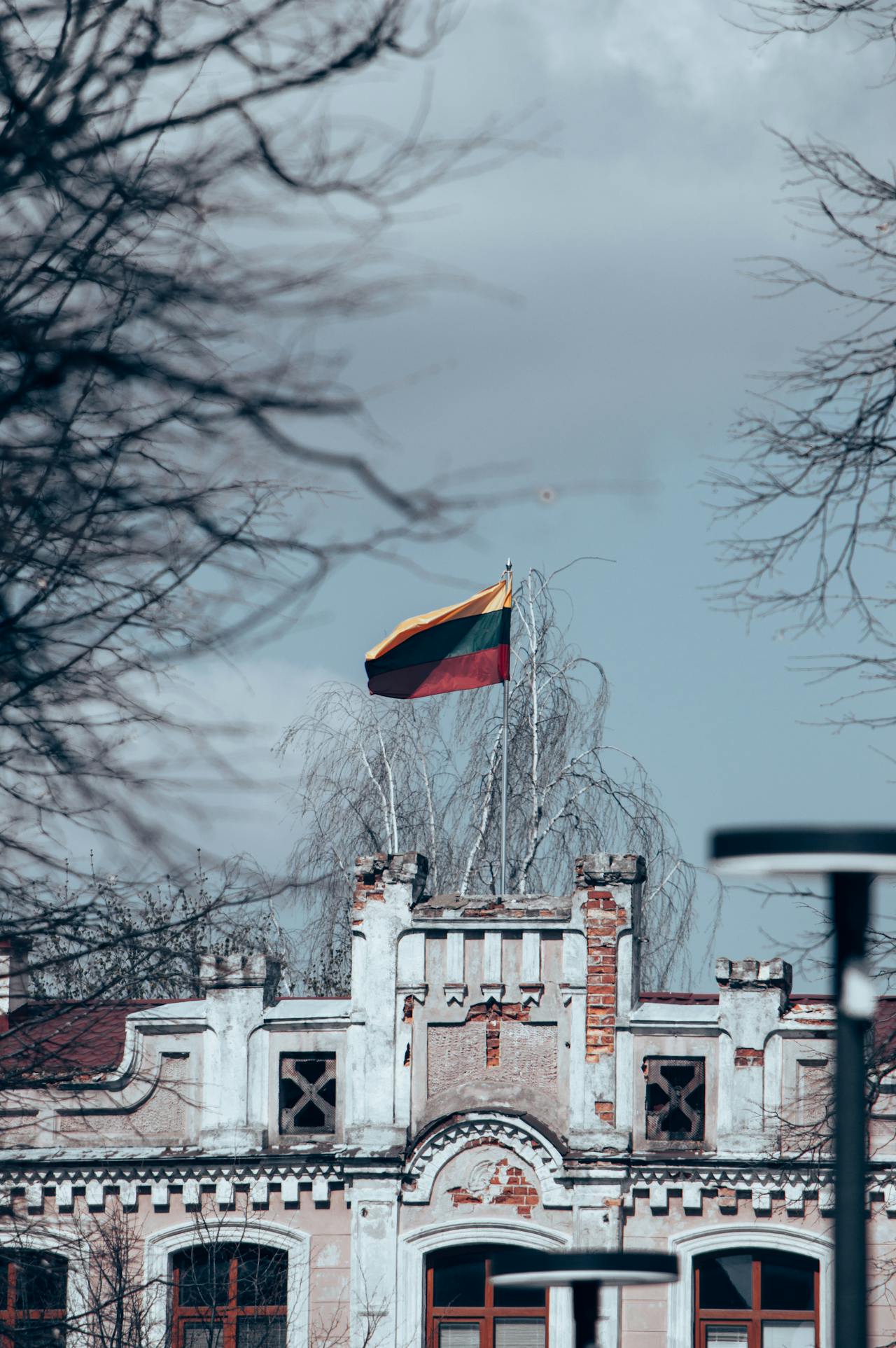 pexels-dpranka-11905879