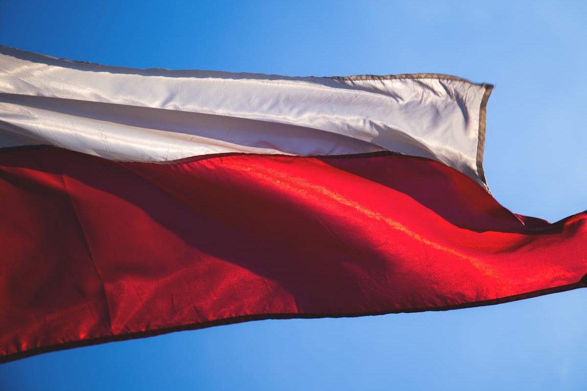 pexels-freestocks-130866 (1)