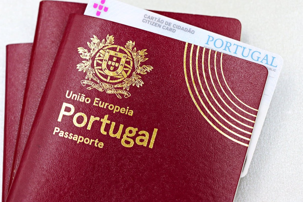 pexels-martabranco-32081457 (1)